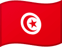 Tunisian lippu