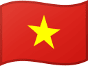 Vietnamin lippu