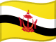 Brunein lippu