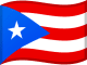 Puerto Ricon lippu