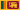 Sri Lankan lippu