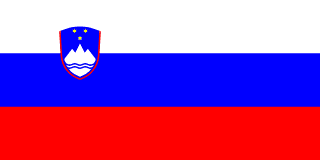 Slovenian lippu