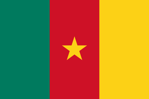 Kamerunin lippu
