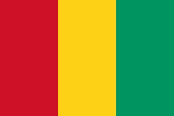 Guinean lippu