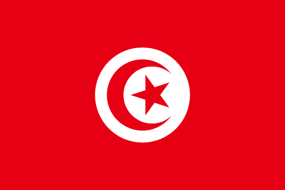 Tunisian lippu