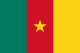 Kamerunin lippu